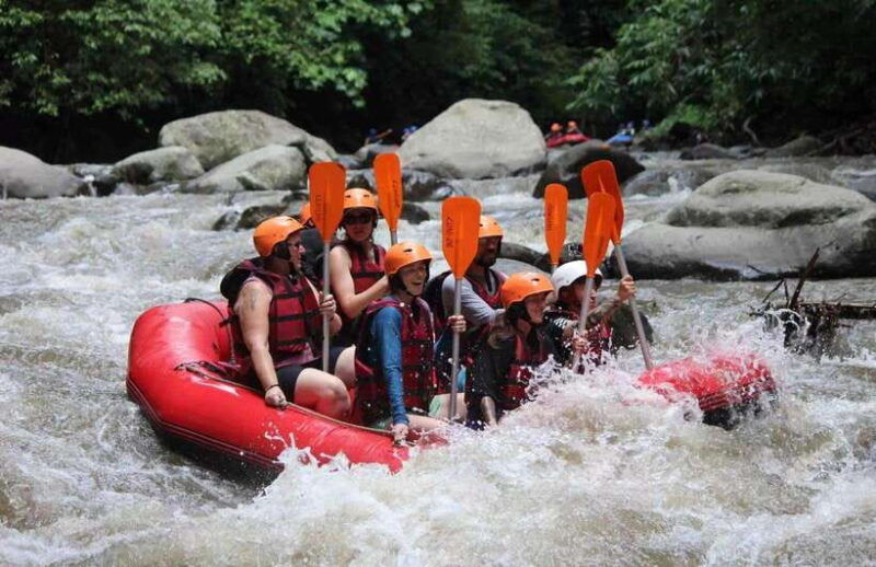ayung-river-thrills-ultimate-white-water-rafting-journey