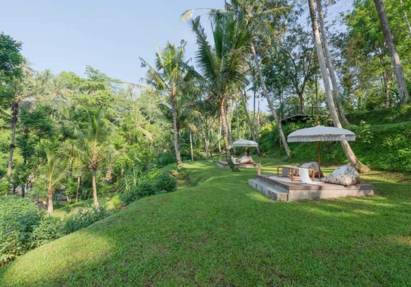 Ayung Riverside Picnic Lunch - Setting the Scene: What to Expect