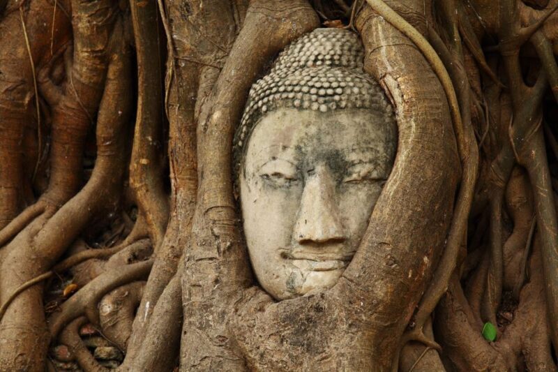 Ayutthaya's Heritage Revealed Day Private Tour from Bangkok - What Could Be Better?