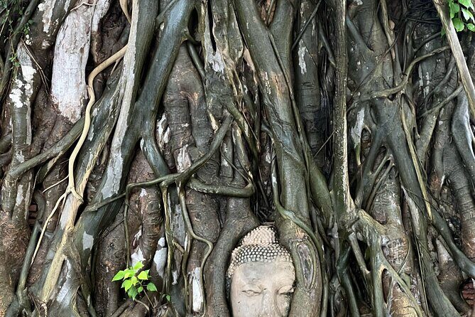 Ayutthayas Hidden Gems: Small Group Tour with Car & Local Guide - Starting with a Unique Access: Wat Niwet Thammaprawat