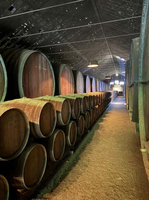 Azeitão: Horseback Riding, Tasting, Farms, and Cristo Rei - Key Points  