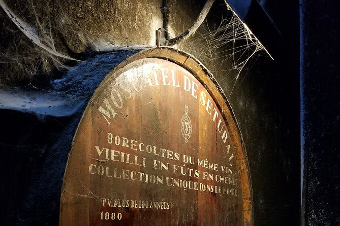 azeitao-wines-tour-and-stunning-view-lisbon