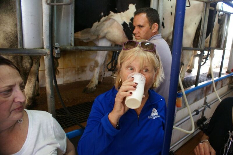 Azores: Day at the Farm with Traditional Lunch - Frequently Asked Questions