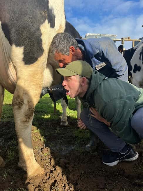 Azores: Day at the Farm with Traditional Lunch - Final Thoughts