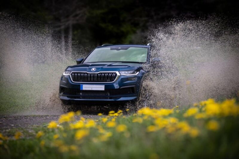 azores-furnas-evening-thermal-bath-with-tickets-3