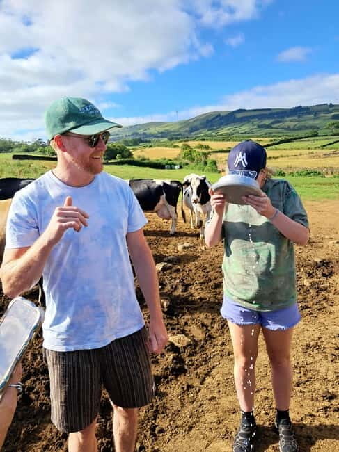 Azores: Half-Day Dairy Farm Tour - Key Points