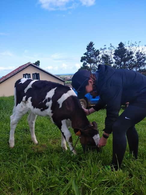 Azores: Half-Day Dairy Farm Tour - Final Thoughts