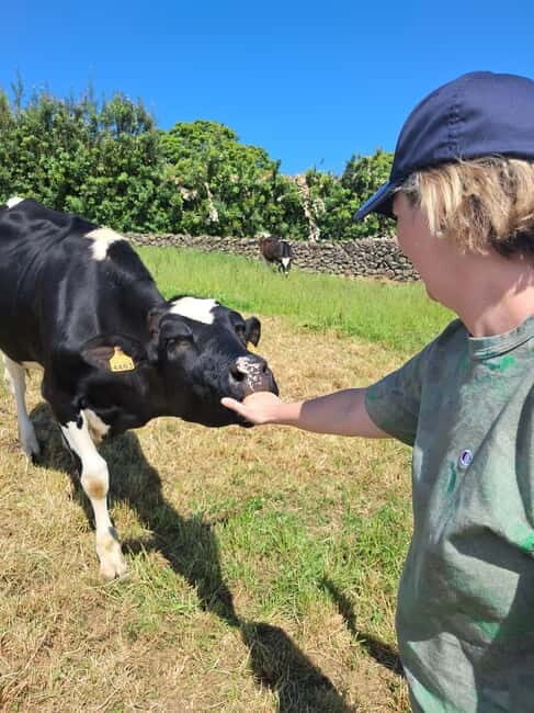 Azores: Half-Day Dairy Farm Tour - FAQ