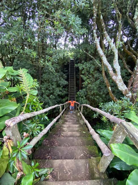 Azores: Janela do Inferno, Caldeira Velha Guided Hiking Tour - An In-Depth Look at the Experience