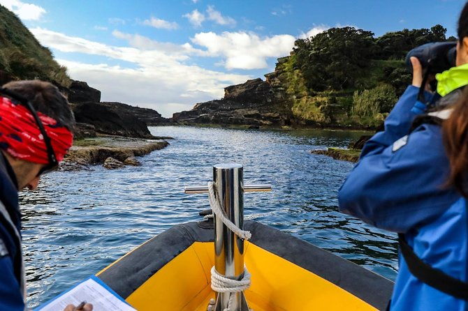 azores-marine-birdwatching-expedition-3