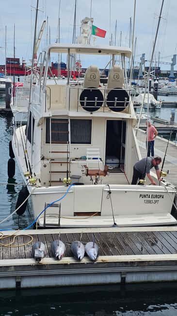 Azores: Ponta Delgada Big Game Fishing Private Tour - Practical Tips for Your Trip