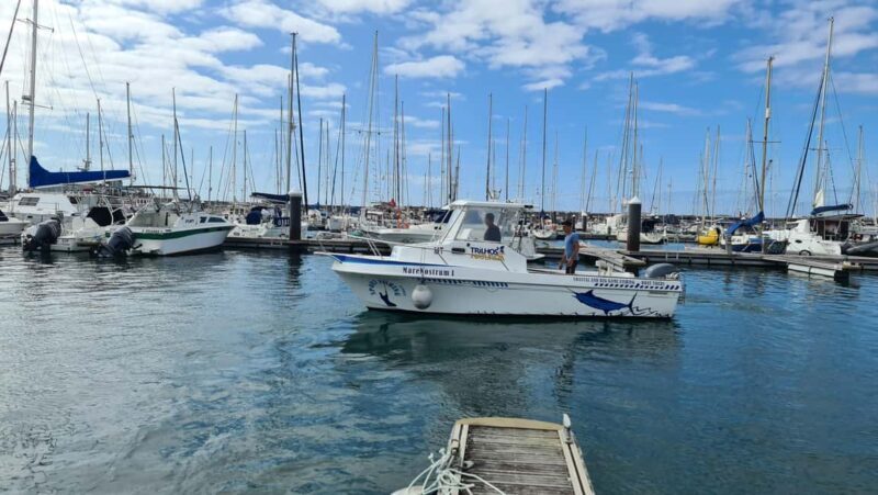 Azores: Ponta Delgada Big Game Fishing Private Tour - FAQs