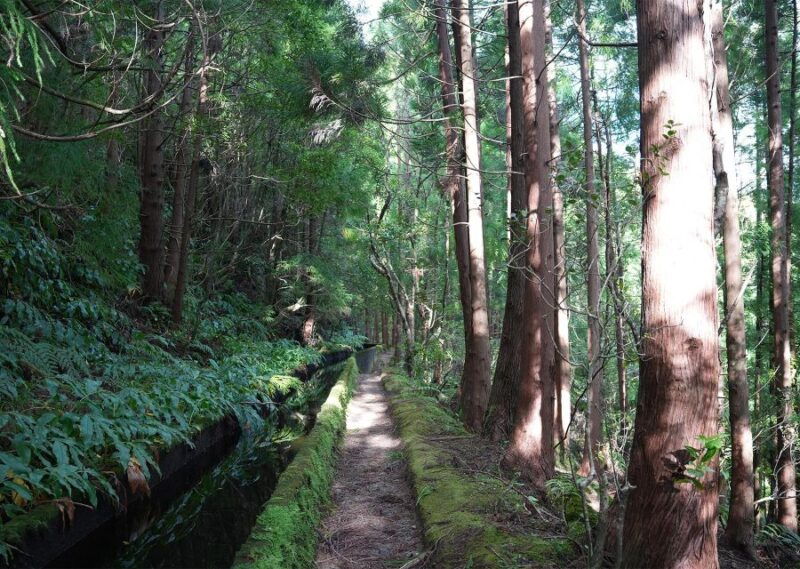 azores-sao-miguel-and-lagoa-do-fogo-hiking-trip