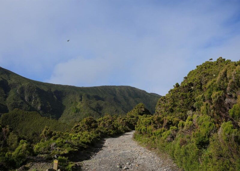 azores-sao-miguel-and-lagoa-do-fogo-hiking-trip