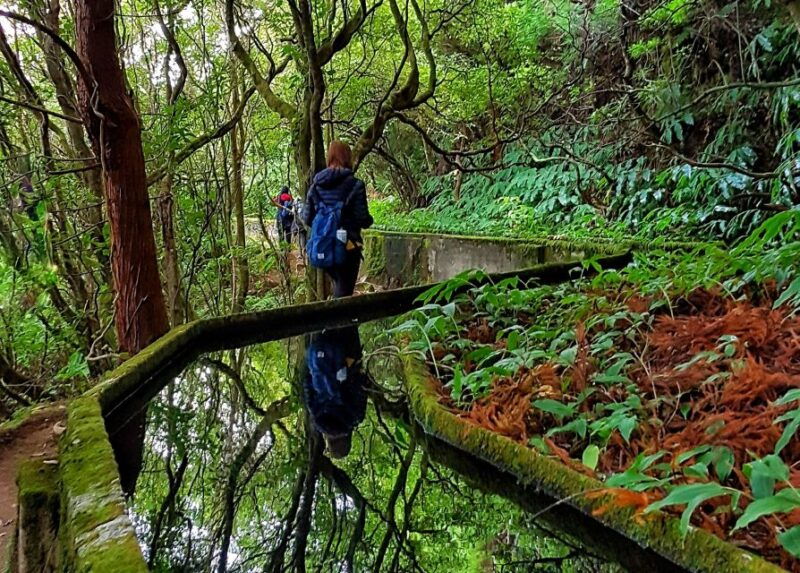 azores-sao-miguel-and-lagoa-do-fogo-hiking-trip