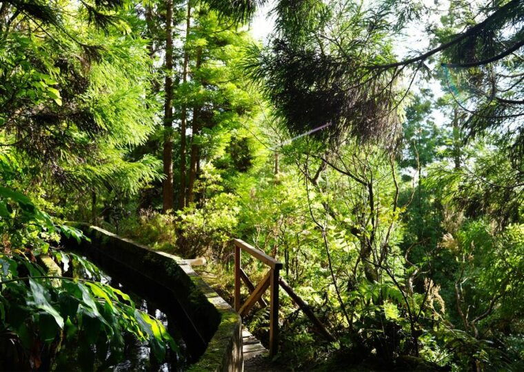 azores-sao-miguel-and-lagoa-do-fogo-hiking-trip