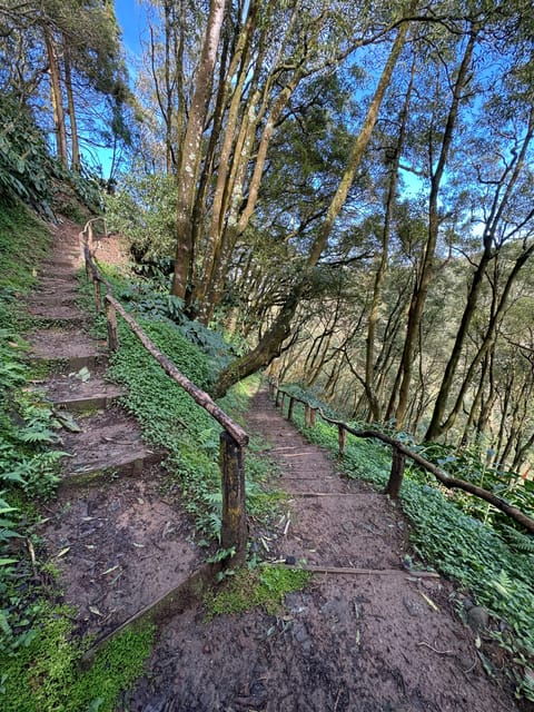 azores-sao-miguel-full-day-hike-snorkeling-with-lunch