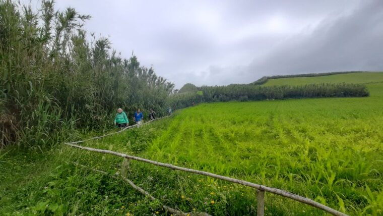 azores-sao-miguel-hike-and-snorkeling-with-a-local