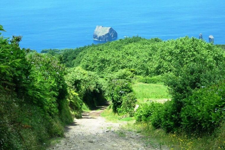 azores-sete-cidades-scenic-jeep-tour-from-ponta-delgada