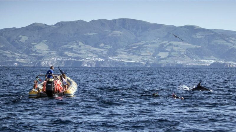 azores-swim-with-dolphins-atlantic-experience-2