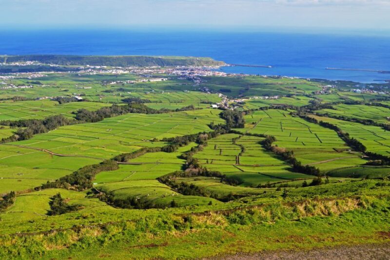 Azores: Terceira Island Full-Day Tour - The Authentic Food Experience