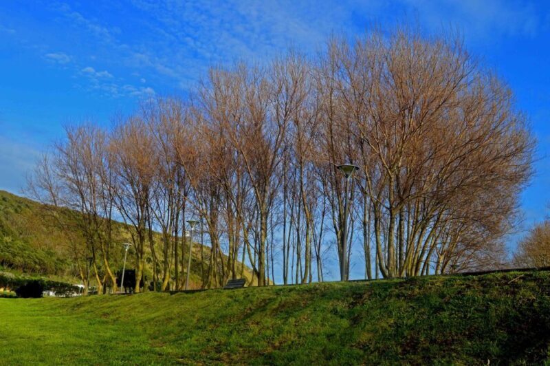 Azores: Terceira Island Full-Day Tour - Value for Money