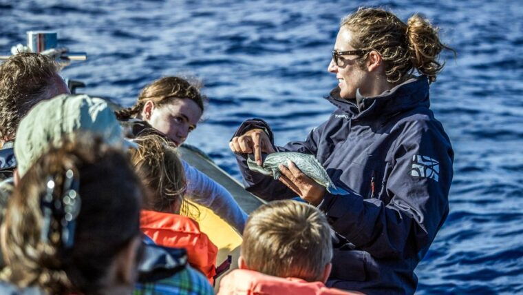 azores-whale-watching-and-islet-boat-tour