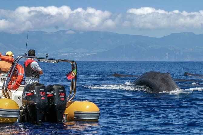 azores-whale-watching-islet-boat-tour