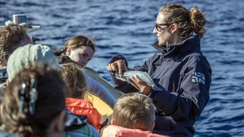 Azores: Whale Watching & Islet Boat Tour w/ Marine Biologist - The Itinerary: What to Expect from Start to Finish