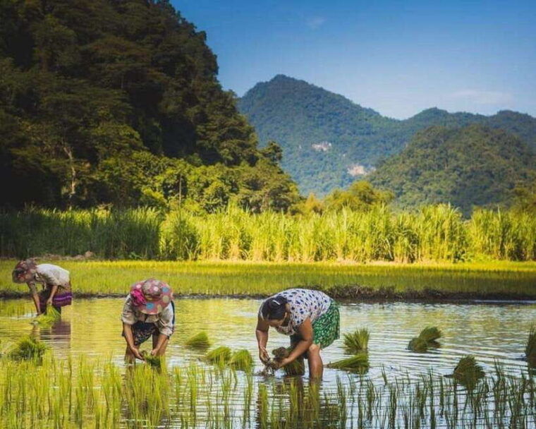 ba-be-ban-gioc-tour-3-days-2-nights-a-natural-escape