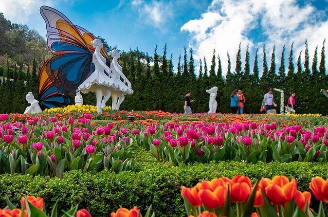 Ba Na Hills Tour from Da Nang: Conquer Golden Bridge & Sun World - Who Should Consider This Tour?