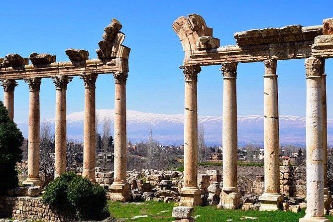 Baalbek, Anjar & Wine: A Journey Through Lebanon's Heritage - A Sip of Lebanon: Chateau Ksara Winery