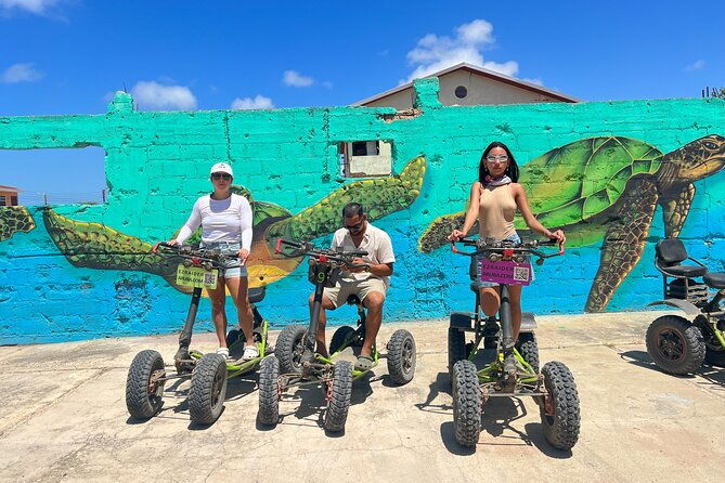 baby-beach-and-san-nicolas-art-murals-private-ez-raider-adventure