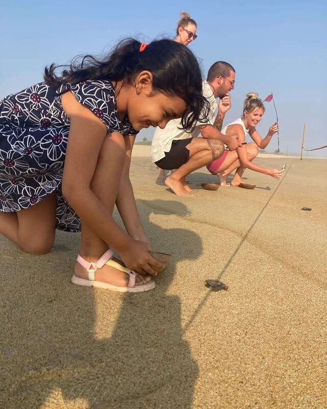 baby-sea-turtles-release-in-puerto-escondido