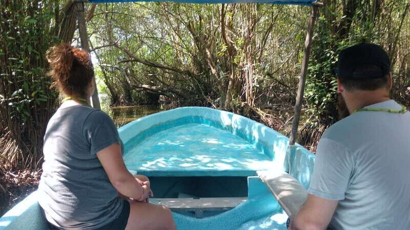 .Baby Turtle Release, Lagoon Boat Ride, and Crocodile Farm - Key Points  