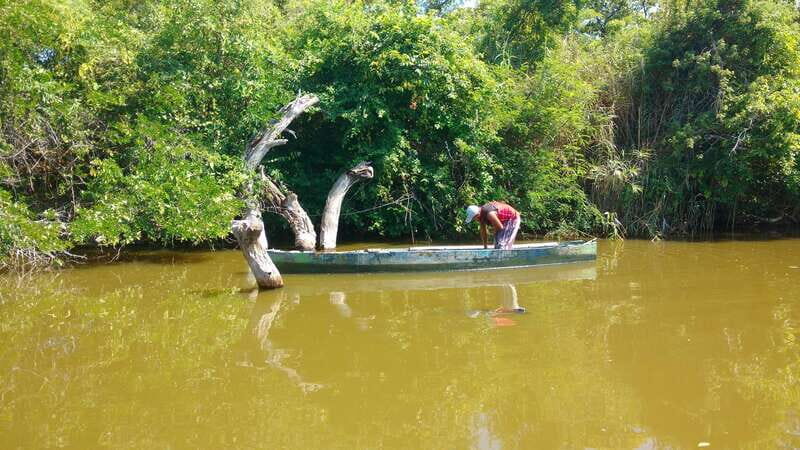 .Baby Turtle Release, Lagoon Boat Ride, and Crocodile Farm - Stop at the Sea Turtle Conservation Camp