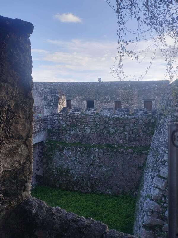 Bacalar: Calakmul-jungle and bat volcano. - An In-Depth Look at the Calakmul Jungle Adventure