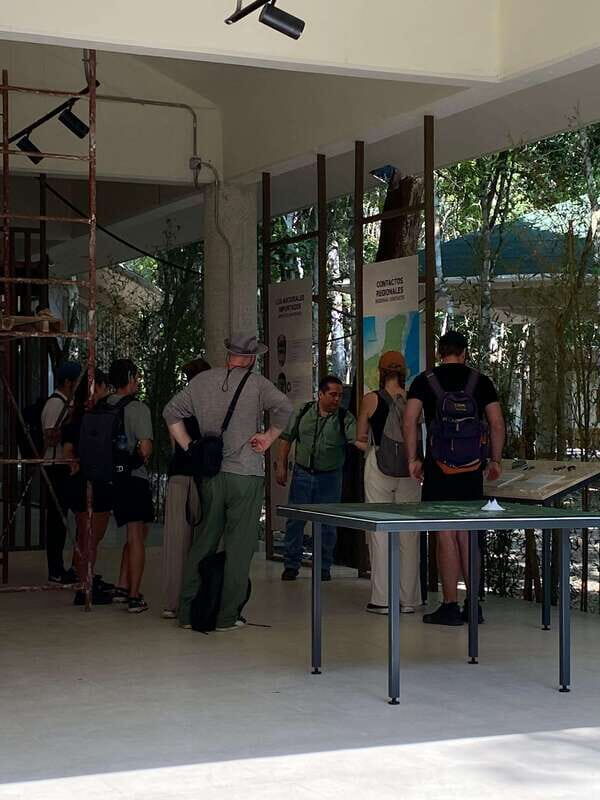 Bacalar: Calakmul Ruins Day Trip with a Stop In The Jungle - A Detailed Look at the Calakmul Day Trip