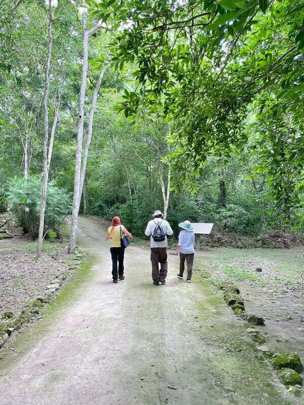 Bacalar: Discover Calakmul and its jungle. - Practical Tips for a Smooth Trip