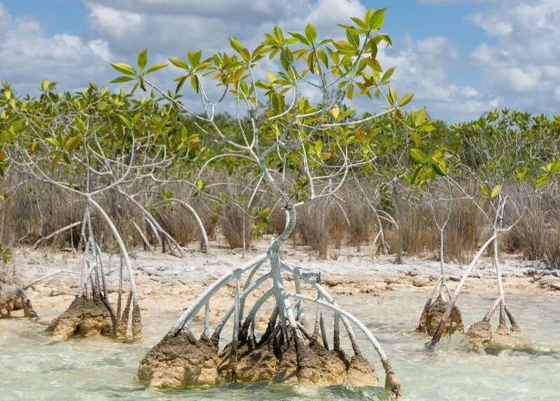 bacalar-full-day-kayak-rental-in-the-lagoon-of-seven-colors