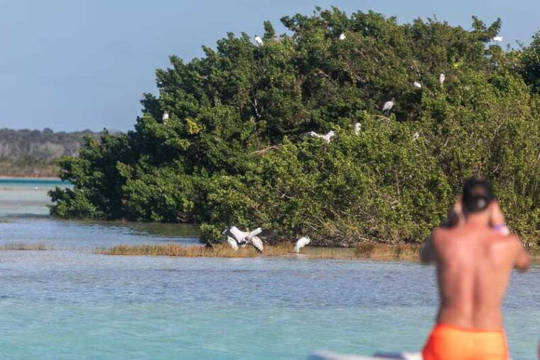 bacalar-full-day-kayak-rental-in-the-lagoon-of-seven-colors