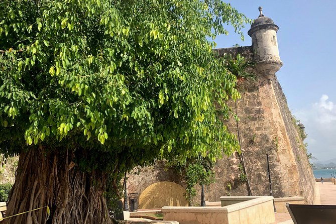 bacardi-rum-distillery-and-old-san-juan-tour