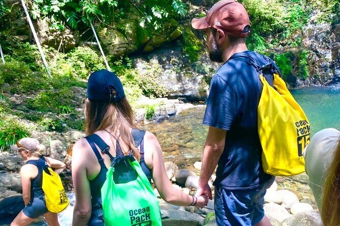 Bach Ma National Park: Daily Hue Treks via Hai Van Pass - What to Expect from the Experience