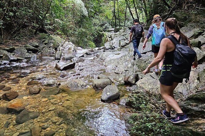 Bach Ma National Park: Daily Hue Treks via Hai Van Pass - Final Thoughts: Is This Tour Right for You?