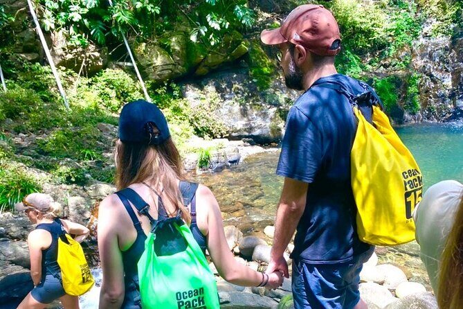 Bach Ma National Park Daily Trekking From Da Nang - A Typical Day: What to Expect