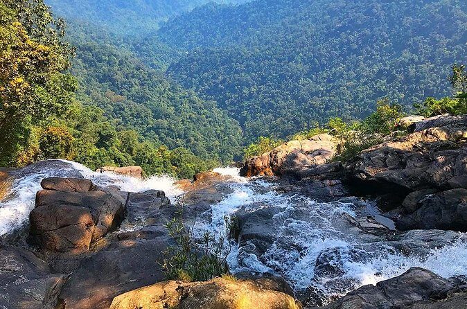 Bach Ma National Park Daily Trekking From Da Nang - Who Would Love This Tour?