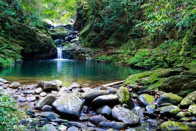 Bach Ma National Park Daily Trekking From Da Nang - The Sum Up