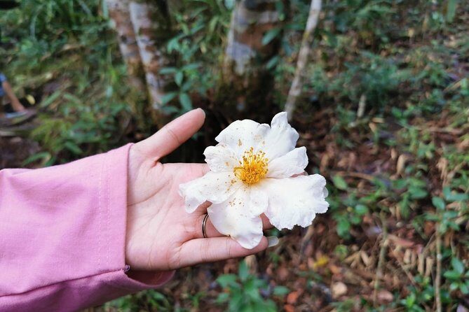 Bach Ma National Park Tour From Hue City - The Itinerary Breakdown: What to Expect