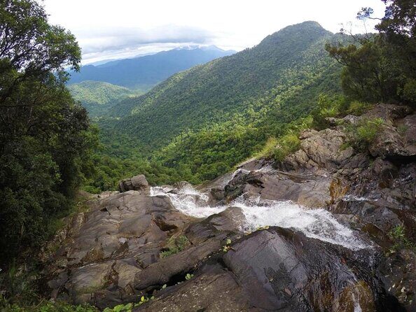 Bach Ma National Park Trekking Tour 1 Day From Hue City - Discover the Charm of Bach Ma National Park Trekking Tour from Hue
