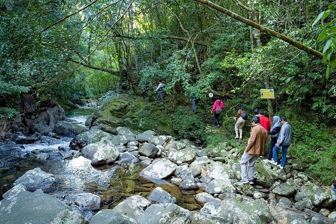 Bach Ma National Park Trekking Tour 1 Day From Hue City - Who Should Consider This Tour?